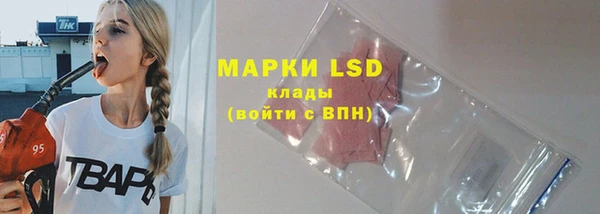 ПСИЛОЦИБИНОВЫЕ ГРИБЫ Баксан
