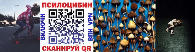 где найти наркотики блэк спрут tor Псилоцибиновые грибы Magic Shrooms Билибино